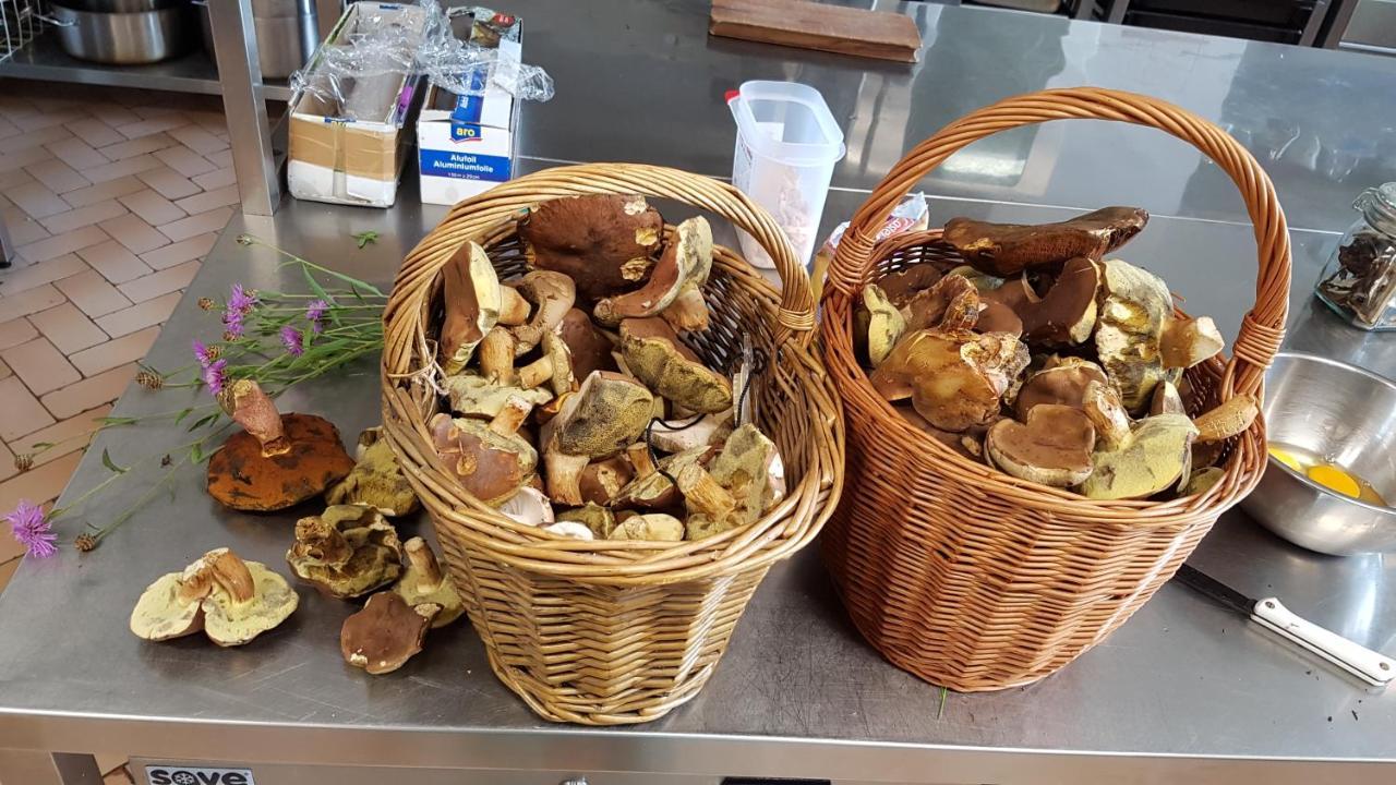 Hotel Chytrov Volfirov Dış mekan fotoğraf